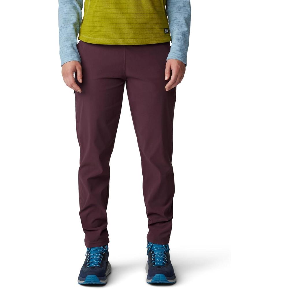 imageMountain Hardwear Womens Dynama Ankle PantBlackberry